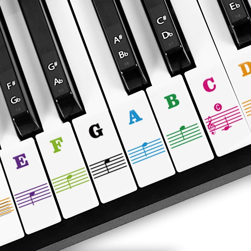 MUYOS Removable Piano Sticker Labels â€“ Piano Keyboard Stickers for Beginners, Reusable & Protective Piano Key Labels, Piano Note Stickers Overlay for Full Size Pianos (Sticker-FullColor) - Image 2