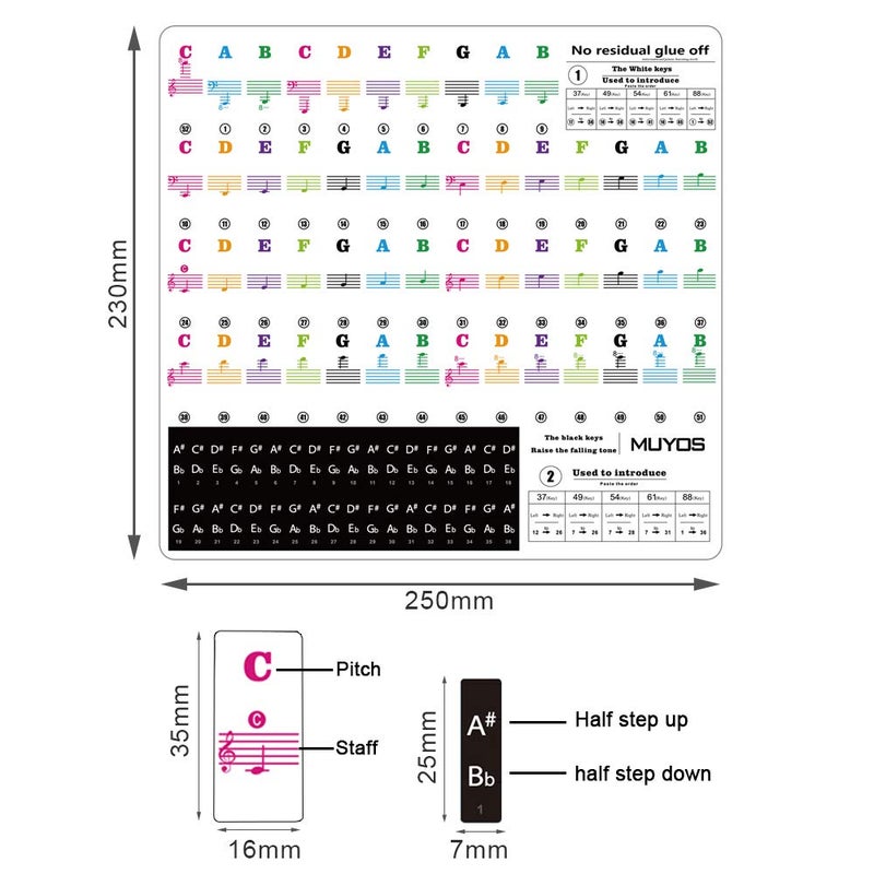 MUYOS Removable Piano Sticker Labels â€“ Piano Keyboard Stickers for Beginners, Reusable & Protective Piano Key Labels, Piano Note Stickers Overlay for Full Size Pianos (Sticker-FullColor) - Image 4