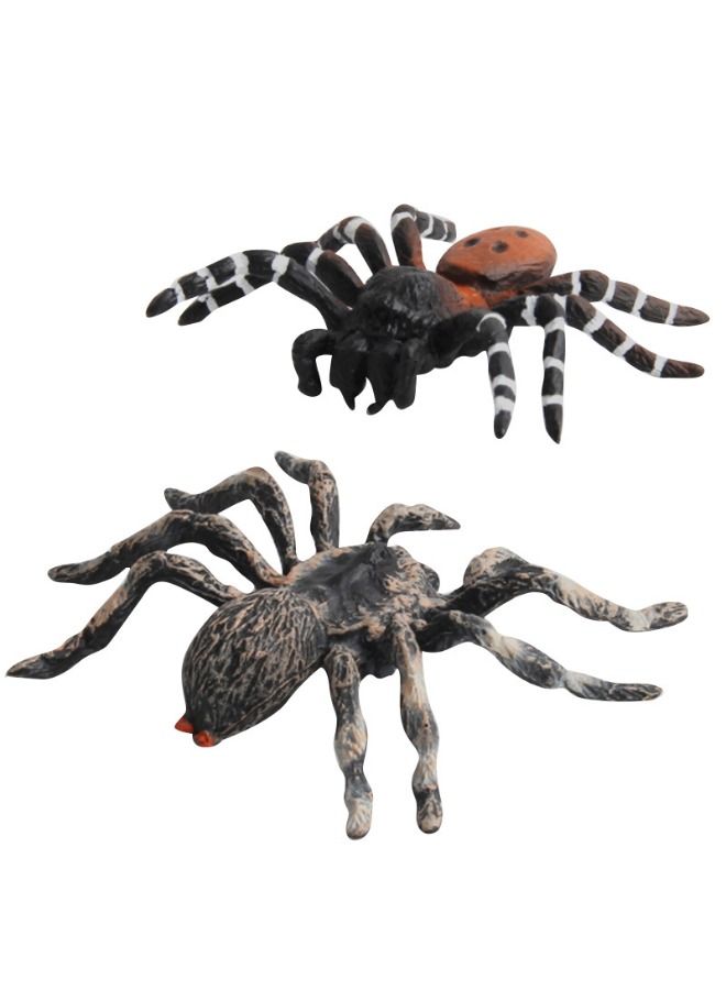 Set of 4 Simulated Spider Model, Fake Spider Action Model, Realistic Spider Figurines, Plastic Spider Figure for Collection Science Educational - Image 5