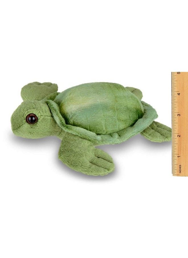 Bearington Collection - Bearington Lil' Shelton Plush Sea Turtle Stuffed Animal 7 Inches - Image 1