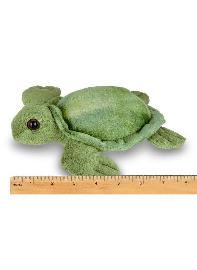 Bearington Collection - Bearington Lil' Shelton Plush Sea Turtle Stuffed Animal 7 Inches - Image 1