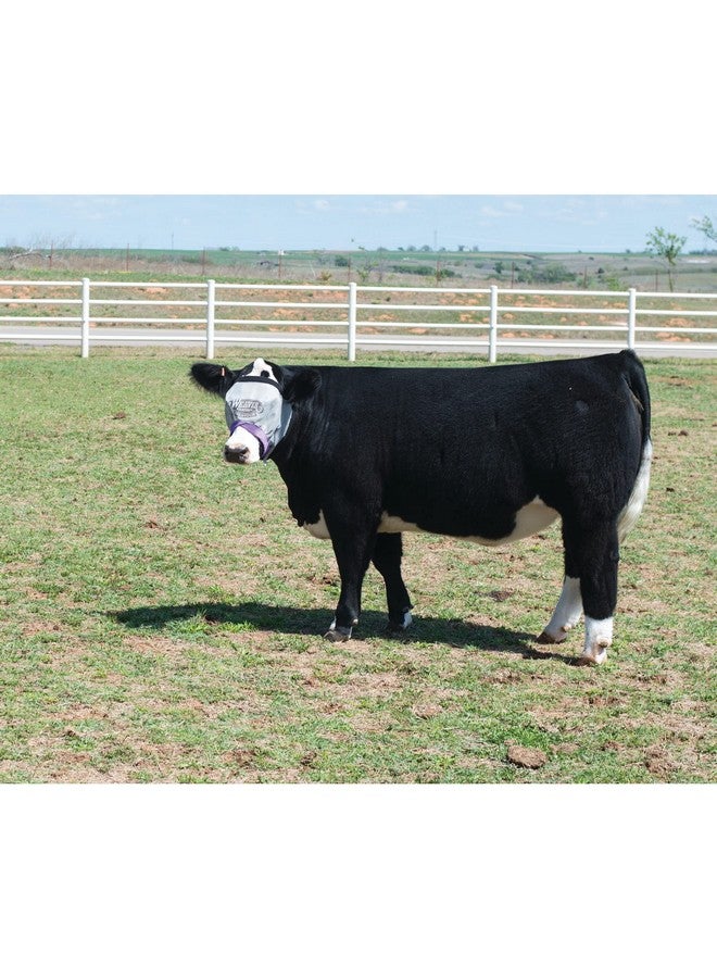 Weaver Leather Livestock Cattle Fly Mask , Gray/Purple - Image 2