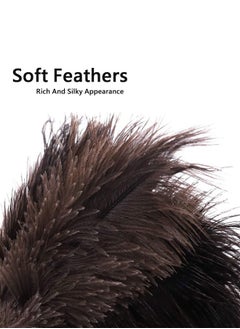HAWAWA Feather Duster, 35cm Black Feathers with Wood Handle, Reusable and Washable Car Dusters, Eco-Friendly Cleaning Dusters for Home, Office and Kitchen  - Image 3