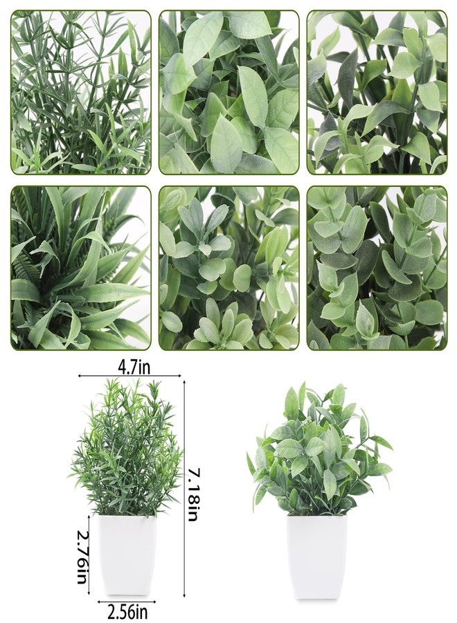Der Rose 6 Packs Small Fake Plants Artificial Greenery Eucalyptus Plants in Pots for Bedroom Living Room Decor - Image 3