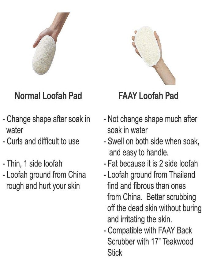 FAAY Loofah Sponge Refill for FAAY Back Scrubber on Stick, 3 Packs - Image 2