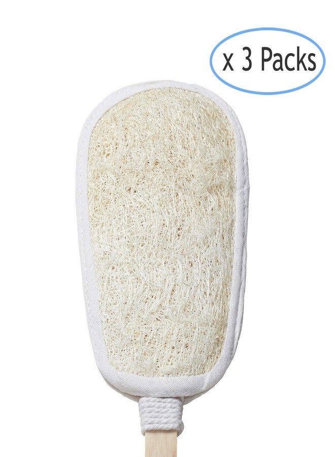 FAAY Loofah Sponge Refill for FAAY Back Scrubber on Stick, 3 Packs - Image 3