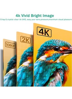 دوسالا كابل DisplayPort إلى HDMI بطول 6 أقدام (1.8 متر)، محول كابل 4K DP إلى HDMI، كابل DP 1.2 إلى HDMI 1.4 باتجاه واحد، متوافق مع الكمبيوتر، التلفزيون، الشاشة، المشروع، اللابتوب، Dell، HP وغيرها.  - Image 4