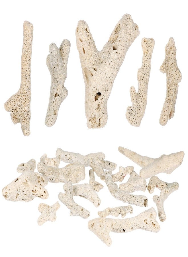 جارنيك 3-10 سم 500 غرام مرجان مطحون لأحواض أسماك المياه العذبة والمالحة، حجر مرجاني طبيعي لفلاتر أحواض الأسماك، ديكورات قاع أحواض الأسماك (لون عشوائي) - Image 1