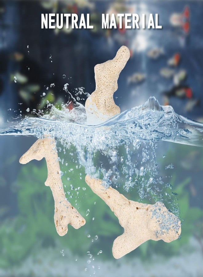 جارنيك 3-10 سم 500 غرام مرجان مطحون لأحواض أسماك المياه العذبة والمالحة، حجر مرجاني طبيعي لفلاتر أحواض الأسماك، ديكورات قاع أحواض الأسماك (لون عشوائي) - Image 5