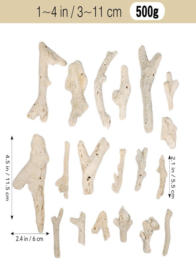 جارنيك 3-10 سم 500 غرام مرجان مطحون لأحواض أسماك المياه العذبة والمالحة، حجر مرجاني طبيعي لفلاتر أحواض الأسماك، ديكورات قاع أحواض الأسماك (لون عشوائي) - Image 2