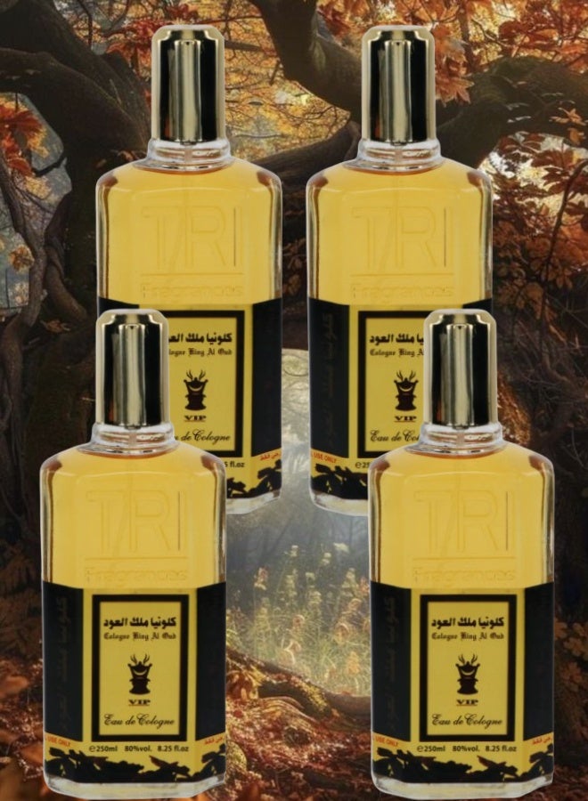 في آي بي 4 قطع كلونيا ملك العود 250مل - Image 1