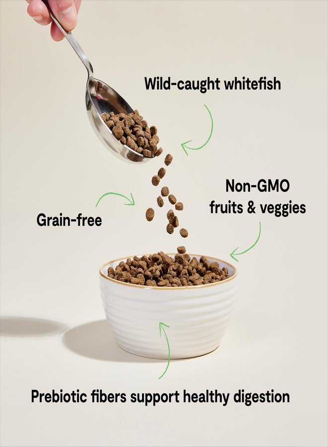 Open Farm أوبن فارم، طعام جاف للقطط خالٍ من الحبوب، حبيبات غنية بالبروتين لنظام غذائي كامل ومتوازن، فواكه وخضراوات غير معدلة وراثيًا، ألياف بريبيوتيك لدعم الهضم، سمك أبيض طازج من صيد الموسم، كيس 8 أرطال - Image 3