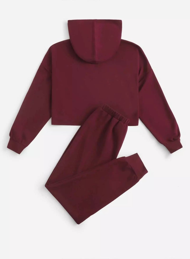 Letter Embroidery Drop Shoulder Drawstring Crop Hoodie & Sweatpants