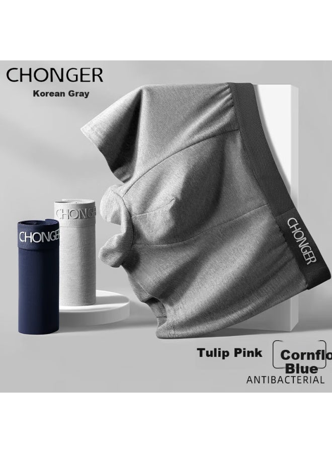 Insects Chonger Men's Cotton Antibacterial Boxer Briefs Trendy Youth Plus Size Mid-waist Shorts - Image 2