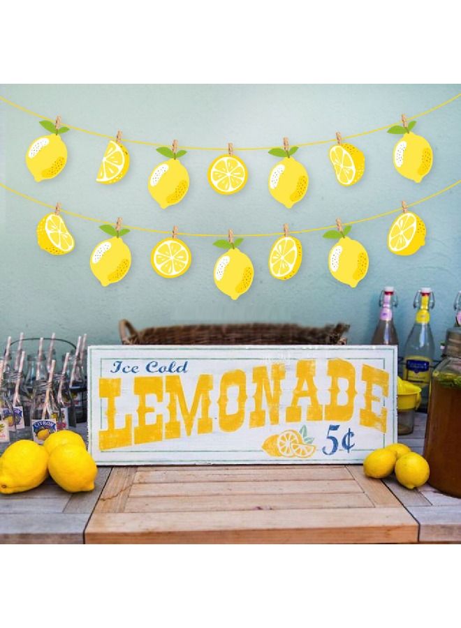 ThePartyPopper Lemon themed Hanging Banner - Image 4