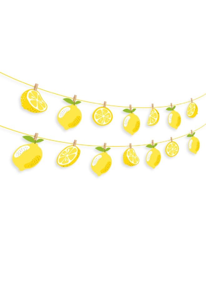 ThePartyPopper Lemon themed Hanging Banner - Image 2