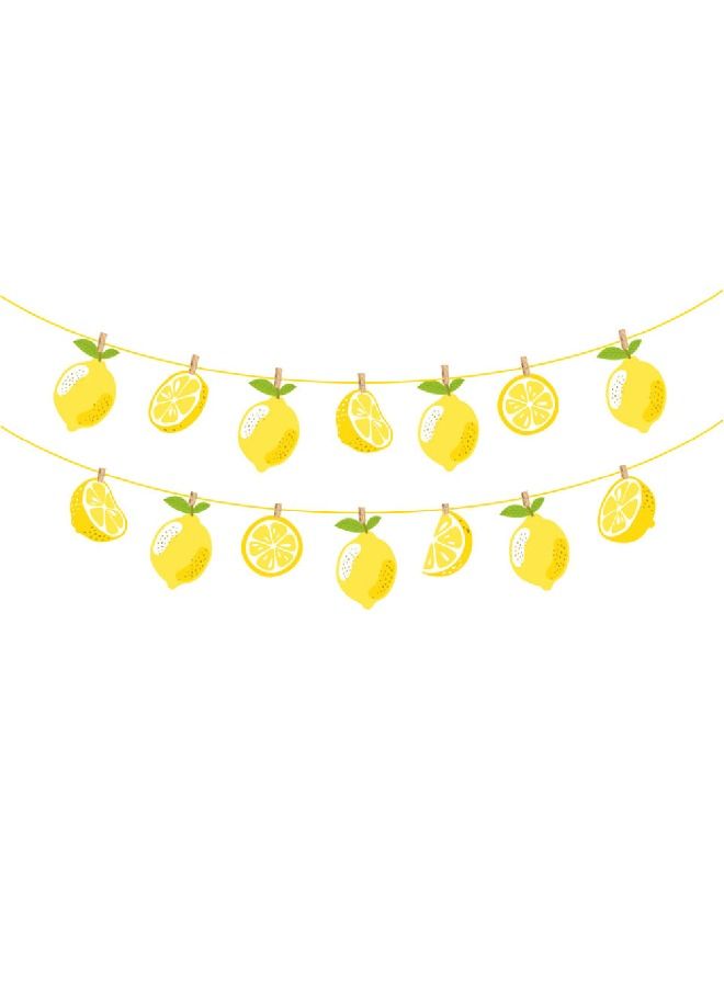 ThePartyPopper Lemon themed Hanging Banner - Image 1