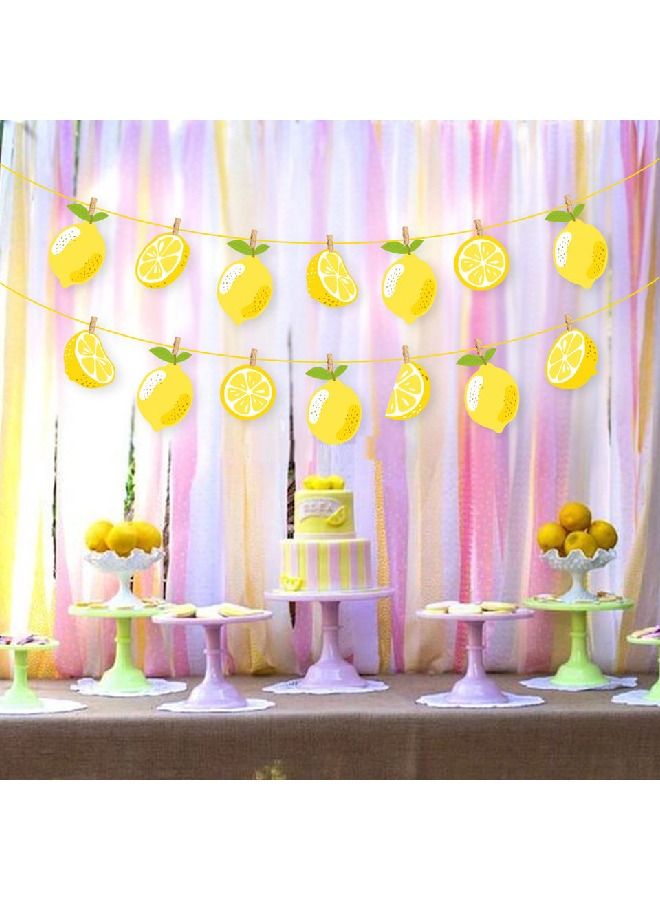 ThePartyPopper Lemon themed Hanging Banner - Image 5