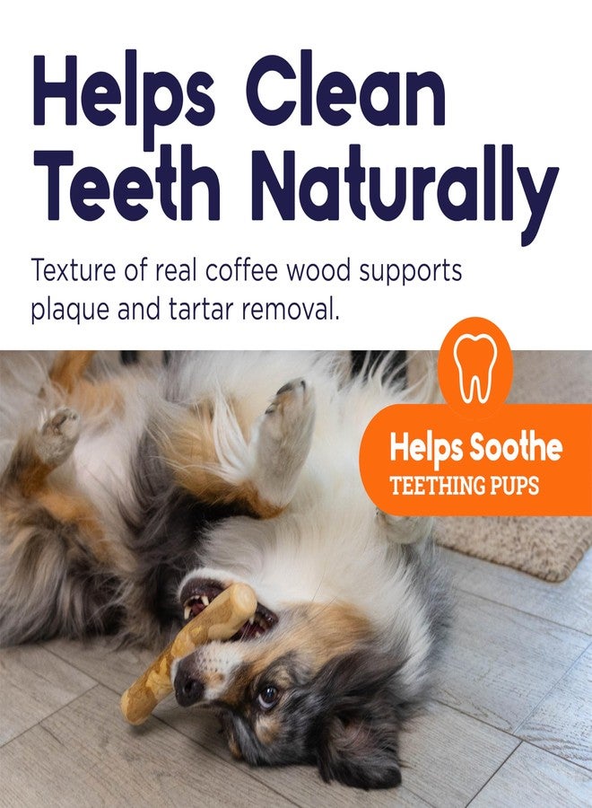 بيتستاجيز عصا مضغ خشبية للكلاب من بيتستيجز - لعبة مضغ خشبية طبيعية للكلاب التي تمضغ بشكل خفيف إلى متوسط، للاستخدام الداخلي، مصنوعة من مصادر مستدامة، خالية من الكافيين، ذات ملمس مميز، متوسطة الصلابة - Image 2