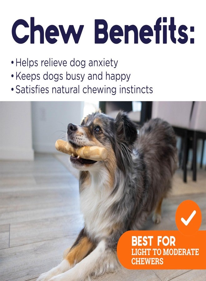 بيتستاجيز عصا مضغ خشبية للكلاب من بيتستيجز - لعبة مضغ خشبية طبيعية للكلاب التي تمضغ بشكل خفيف إلى متوسط، للاستخدام الداخلي، مصنوعة من مصادر مستدامة، خالية من الكافيين، ذات ملمس مميز، متوسطة الصلابة - Image 4