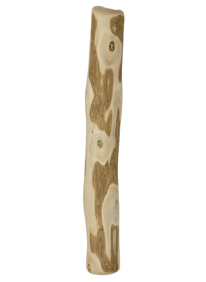 بيتستاجيز عصا مضغ خشبية للكلاب من بيتستيجز - لعبة مضغ خشبية طبيعية للكلاب التي تمضغ بشكل خفيف إلى متوسط، للاستخدام الداخلي، مصنوعة من مصادر مستدامة، خالية من الكافيين، ذات ملمس مميز، متوسطة الصلابة - Image 1