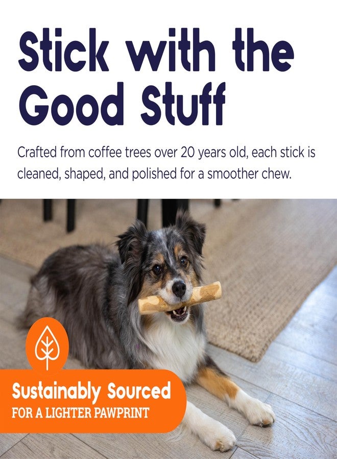 بيتستاجيز عصا مضغ خشبية للكلاب من بيتستيجز - لعبة مضغ خشبية طبيعية للكلاب التي تمضغ بشكل خفيف إلى متوسط، للاستخدام الداخلي، مصنوعة من مصادر مستدامة، خالية من الكافيين، ذات ملمس مميز، متوسطة الصلابة - Image 5