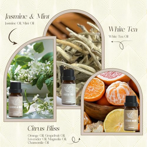 ARVIDSSON Hotel Diffuser Oils Gift Set, ARVIDSSON Luxury Fragrance Oil Blend, Hotel Scent Essential Oils for Diffuser, Jasmine & Mint, White Tea, Citrus Bliss, M-Way, Fancy Lobby, Gift for Women and Men - Image 4