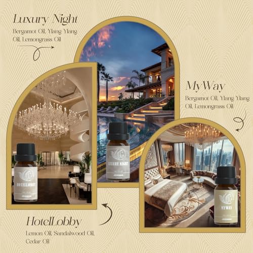 ARVIDSSON Hotel Diffuser Oils Gift Set, ARVIDSSON Luxury Fragrance Oil Blend, Hotel Scent Essential Oils for Diffuser, Jasmine & Mint, White Tea, Citrus Bliss, M-Way, Fancy Lobby, Gift for Women and Men - Image 3