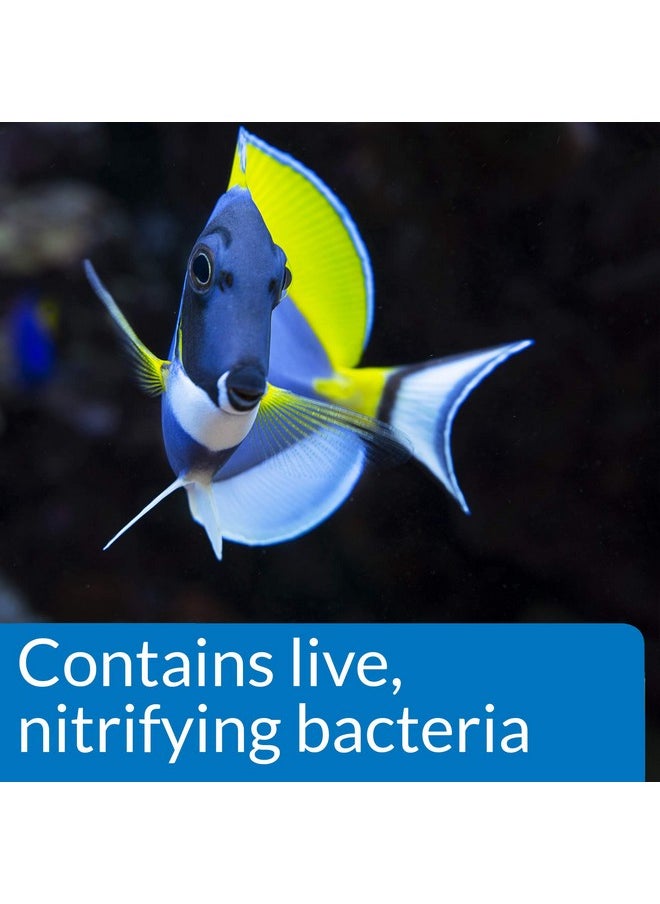 API API MARINE QUICK START Saltwater And Reef Aquarium Nitrifying Bacillus 16-Ounce Bottle  - Image 5