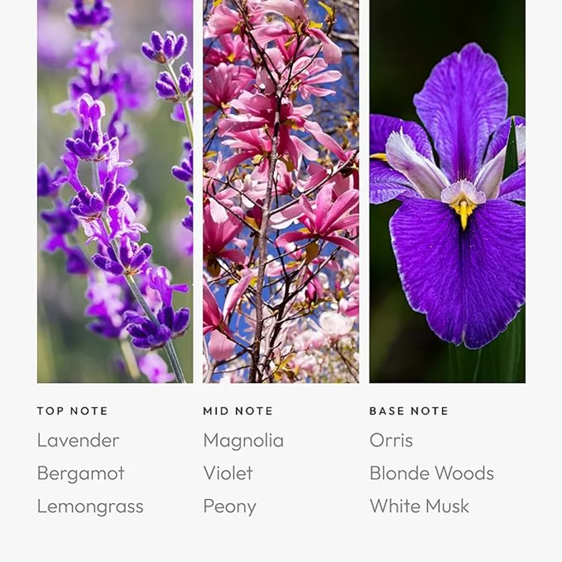 Aroma360  Capricorn Pro-Pod Oil Blend - Astrology Inspired for Luxury Essential Oil Diffusers - Aromatherapy Scent Diffuser Oil - Lavender, Magnolia, and Orris - 50 mL, 1.7 fl oz  | Best Price UAE