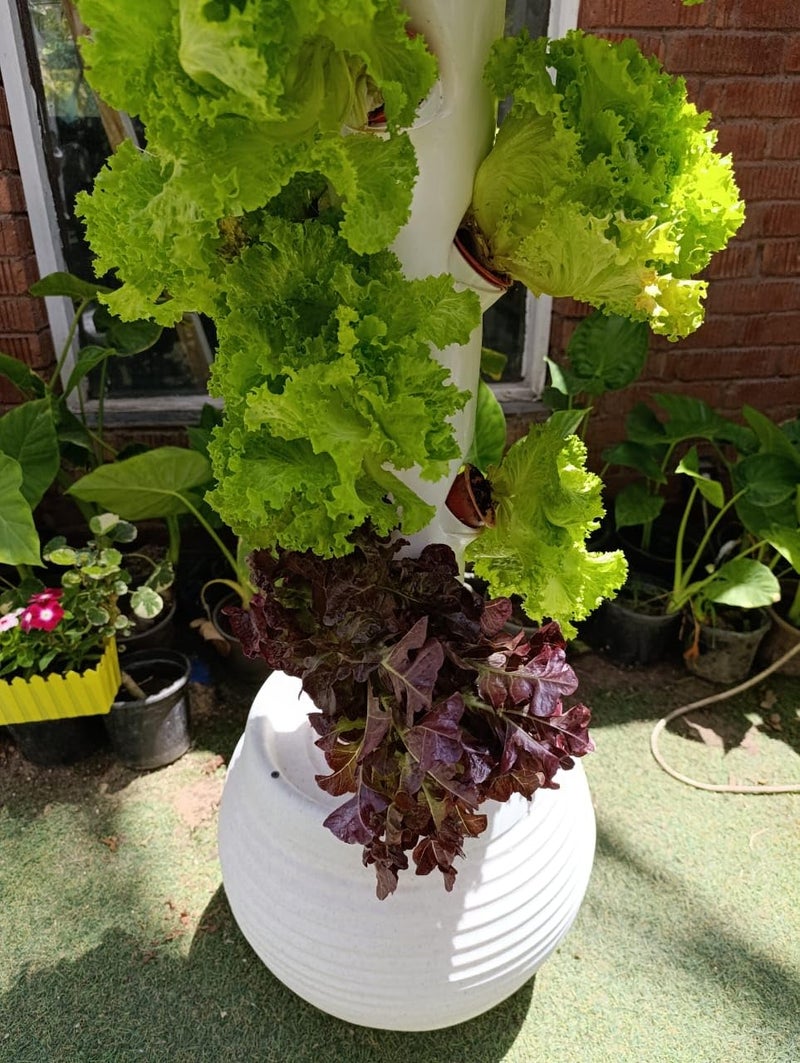 Meridian Soilless Hydroponic Vertical Tower – 20‑Plant Capacity, Polyethylene 23 L Reservoir with Pump, Hose, Cups, Gravel, Clay & Timer - CT
