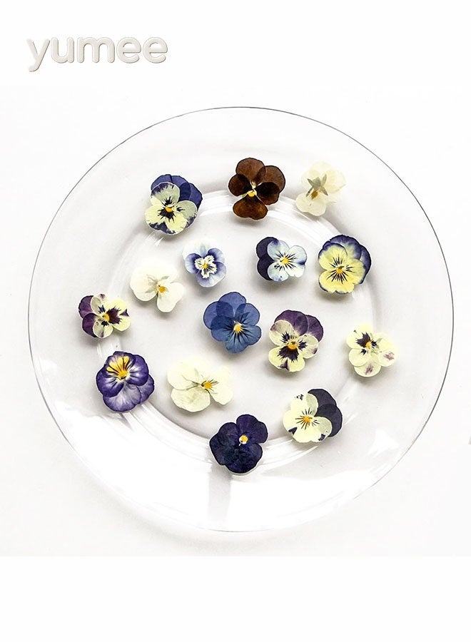 يمي زهور مجففة مضغوطة، زهور مجففة طبيعية - 54 قطعة من الزهور الحقيقية بألوان متنوعة للحرف اليدوية الأنيقة، مثالية لفن الراتنج والشموع وفن الأظافر وسجلات القصاصات والهدايا المصنوعة يدويًا - Image 1