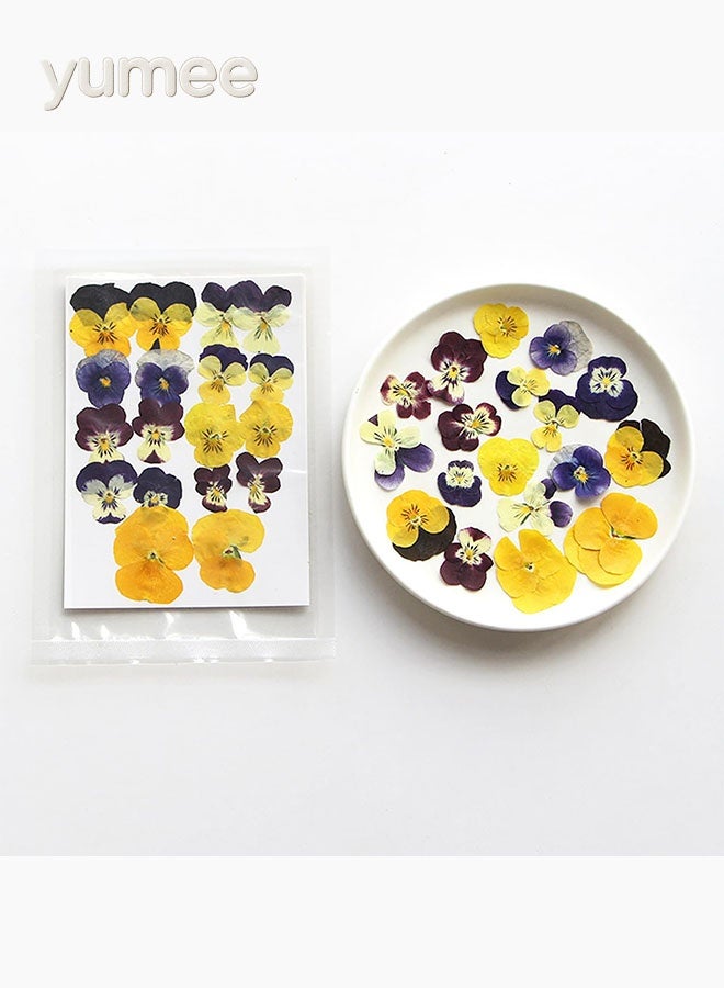 يمي زهور مجففة مضغوطة، زهور مجففة طبيعية - 54 قطعة من الزهور الحقيقية بألوان متنوعة للحرف اليدوية الأنيقة، مثالية لفن الراتنج والشموع وفن الأظافر وسجلات القصاصات والهدايا المصنوعة يدويًا - Image 2