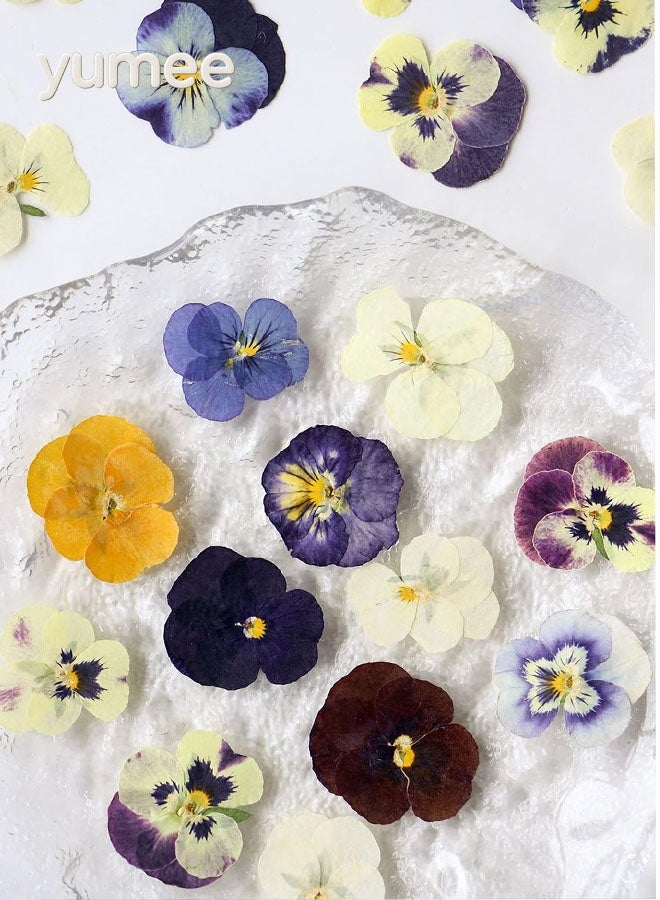 يمي زهور مجففة مضغوطة، زهور مجففة طبيعية - 54 قطعة من الزهور الحقيقية بألوان متنوعة للحرف اليدوية الأنيقة، مثالية لفن الراتنج والشموع وفن الأظافر وسجلات القصاصات والهدايا المصنوعة يدويًا - Image 3