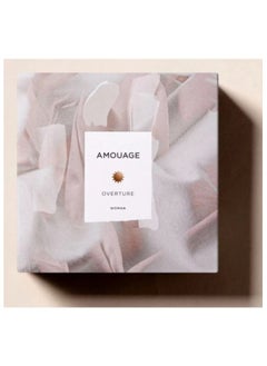 Amouage Perfumes Amouage Overture 100ml (W) EDP 