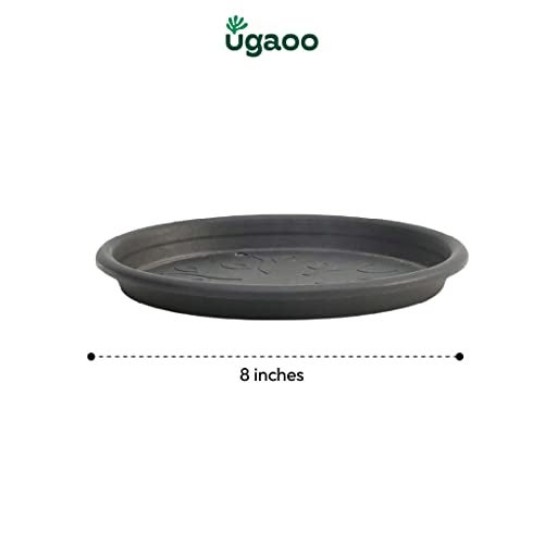 Ugaoo UV Treated Gardening Plastic Tray (Plate/Saucer) for Pots - 8 inch, Black Color, Set of 6 | Tray for Plants Pot for Indoor Home Decor & Outdoor Garden & Balcony - Image 5
