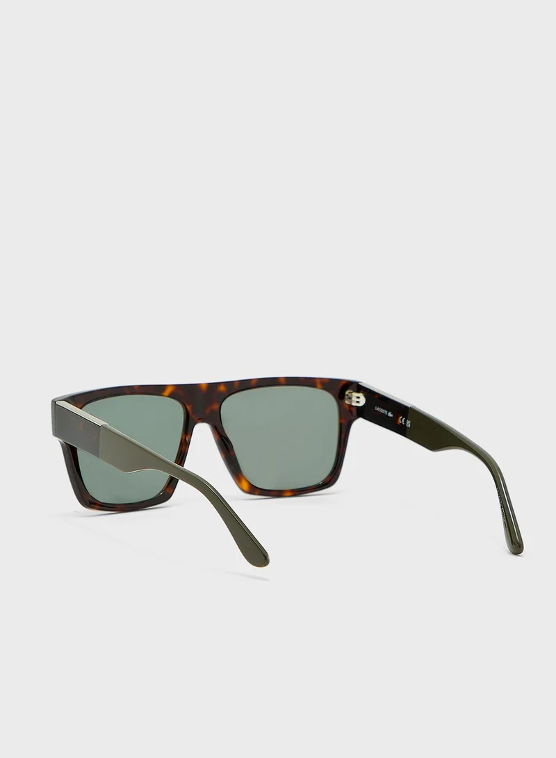 LACOSTE Wayfarers Sunglasses