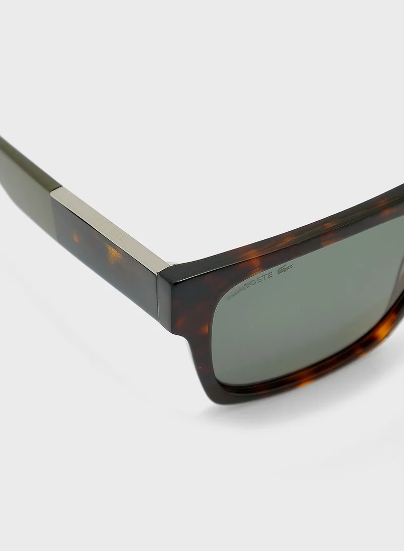 LACOSTE Wayfarers Sunglasses