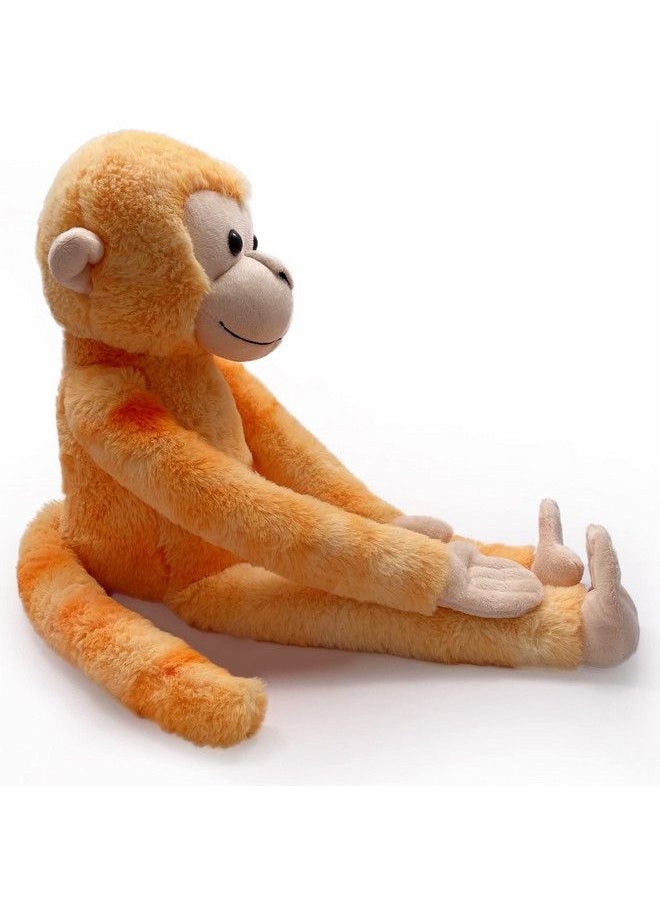 Tie Dye Orange Cute Plush Stuffed Glitter Eye Monkey Soft Toy52 Cm - pzsku/Z845CF1239FBC4D15F431Z/45/_/1692783956/7c7ff90b-237c-42dc-8b0d-028b87629ef4