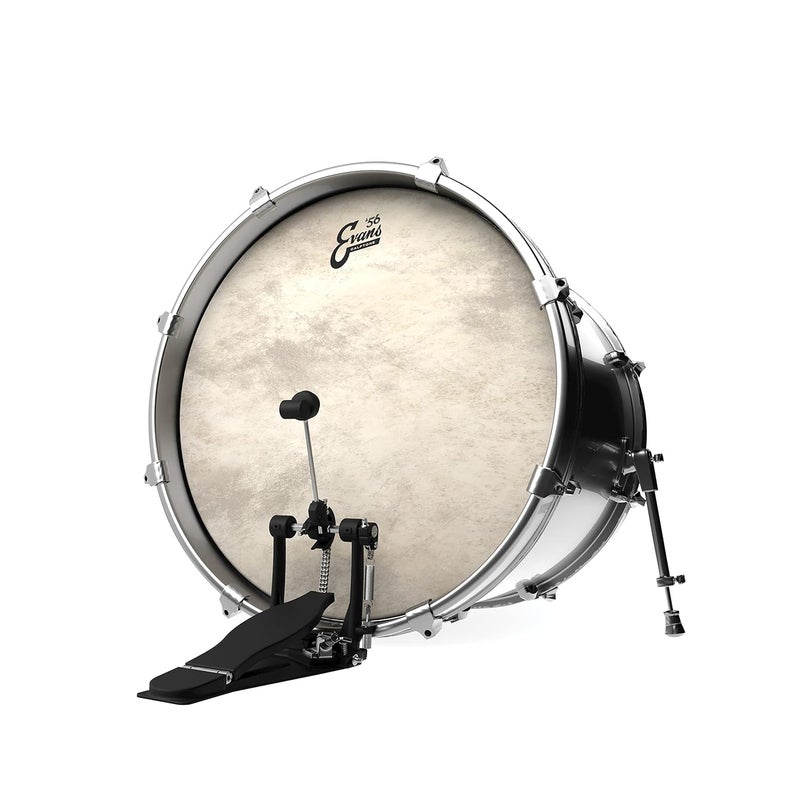 EVANS Calftone Bass Drum Head, 22" - Image 3