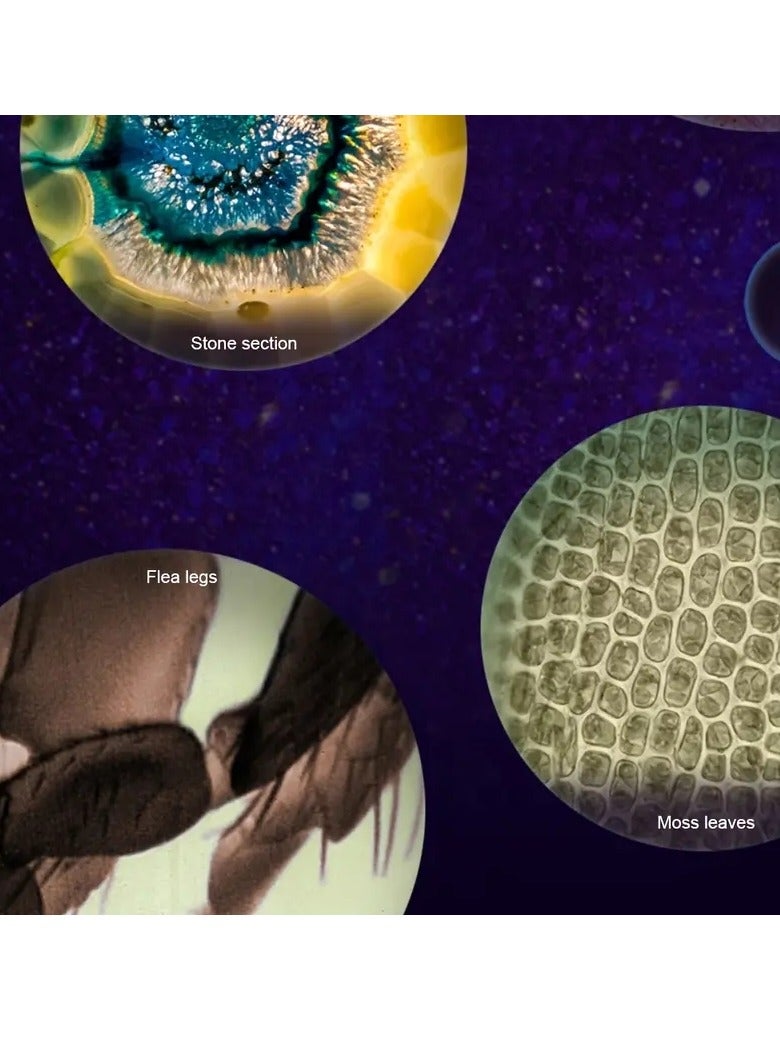 Pocket Microscope For Kids, Portable Handheld Mini Microscope Toy - Image 5