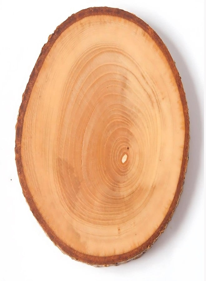 JUNERUSH Natural Assymetrical Wooden Log Coaster/Bark Edge Wooden Coasters for Craft, Wooden Coffee/Tea Coasters Set of 4 (Thickness- 15mm) Wood Slices/Wooden Coaster - Image 5