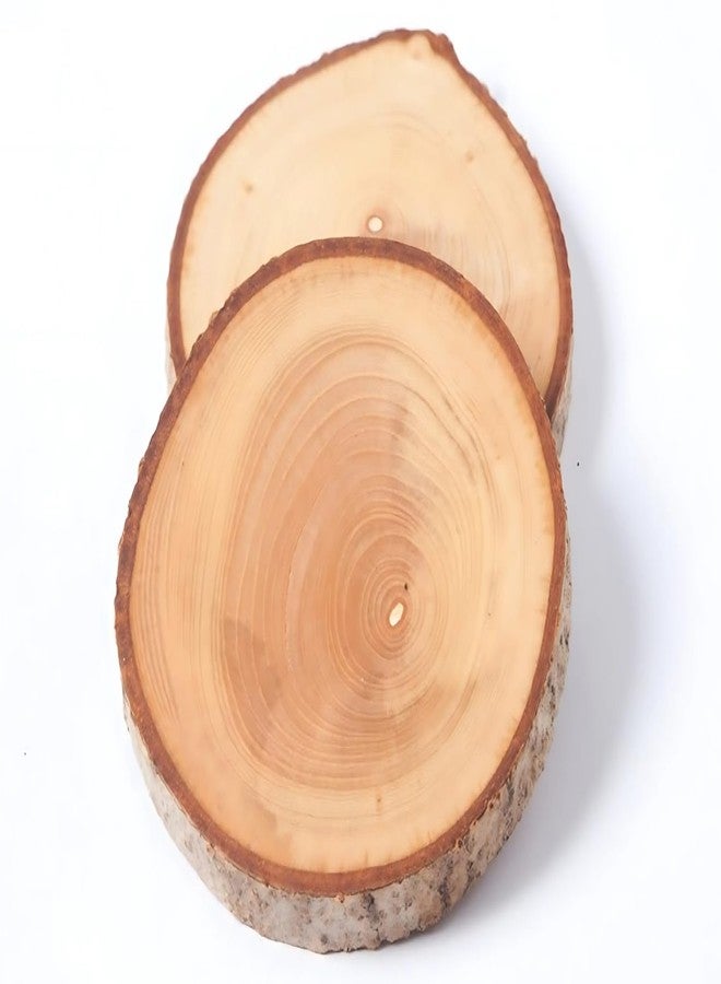 JUNERUSH Natural Assymetrical Wooden Log Coaster/Bark Edge Wooden Coasters for Craft, Wooden Coffee/Tea Coasters Set of 4 (Thickness- 15mm) Wood Slices/Wooden Coaster - Image 4