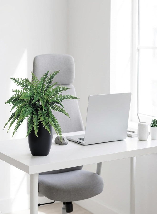 Larksilk Boston Fern Artificial Plants - UV Resistant, Indoor or Outdoor Plant, Hanging Basket or Planter, 34" Inch Diameter 42 Fronds - Image 5