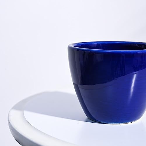 UGAOO Apple Ceramic Pot for Indoor Plants & Office 4 inch - (Small, Blue) - Image 3