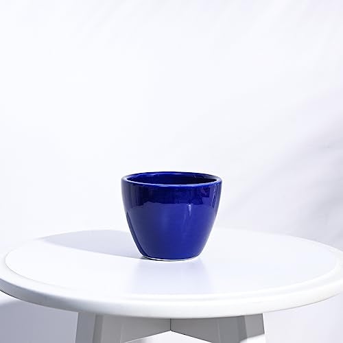 UGAOO Apple Ceramic Pot for Indoor Plants & Office 4 inch - (Small, Blue) - Image 2