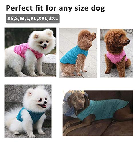 WEONE Dog Summer T-Shirts Striped Cotton Vest,Pet Breathable Soft Basic Clothes for Small Medium Larg Boy Girl Dogs,XS - Image 5