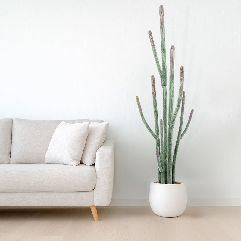 Nafresh Tall UV Resistant Faux Cactus Plantï¼Œ60in Realistic Texture Tall Fake Plant, Artificial Cactus Large with Black Pot Indoor Outdoor for Home Office Living Room Bedroom Foyer Porch Decor. - Image 5