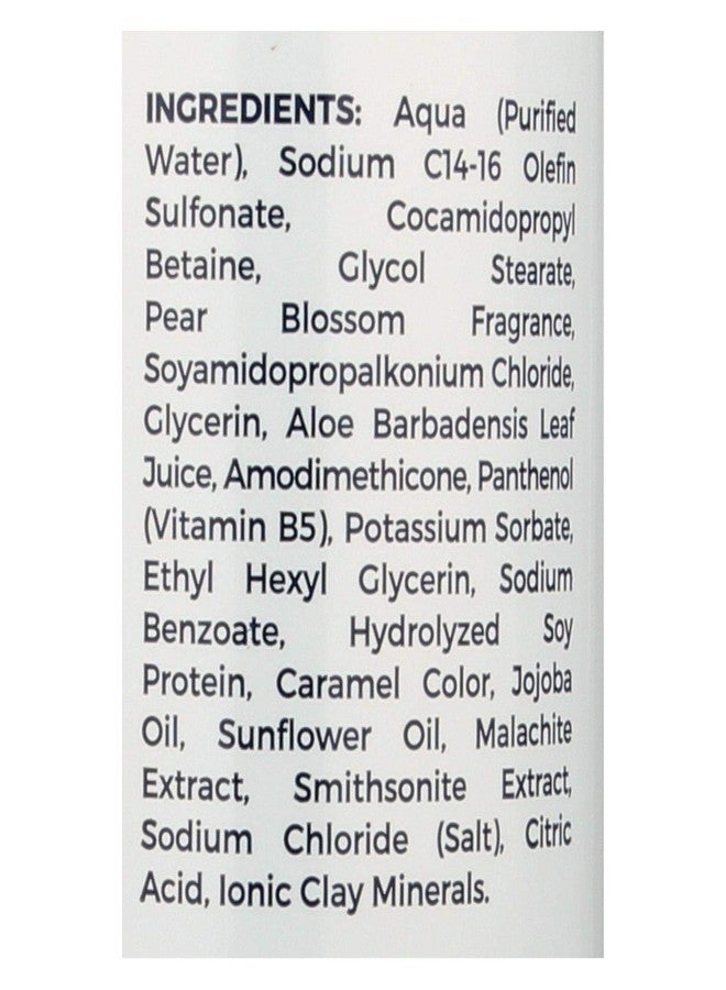 Adama Minerals Zion Health Adama Clay Minerals Shampoo - 16 fl oz - Image 2