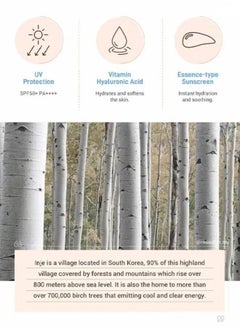 Round Lab Birch Juice Moisturizing Sun Cream,SPF50+ Whiening Sunscreen,Brightening & Refreshing UV Protector,Waterproof Strong Hydrating Cream For Women Men 50ml  - Image 2